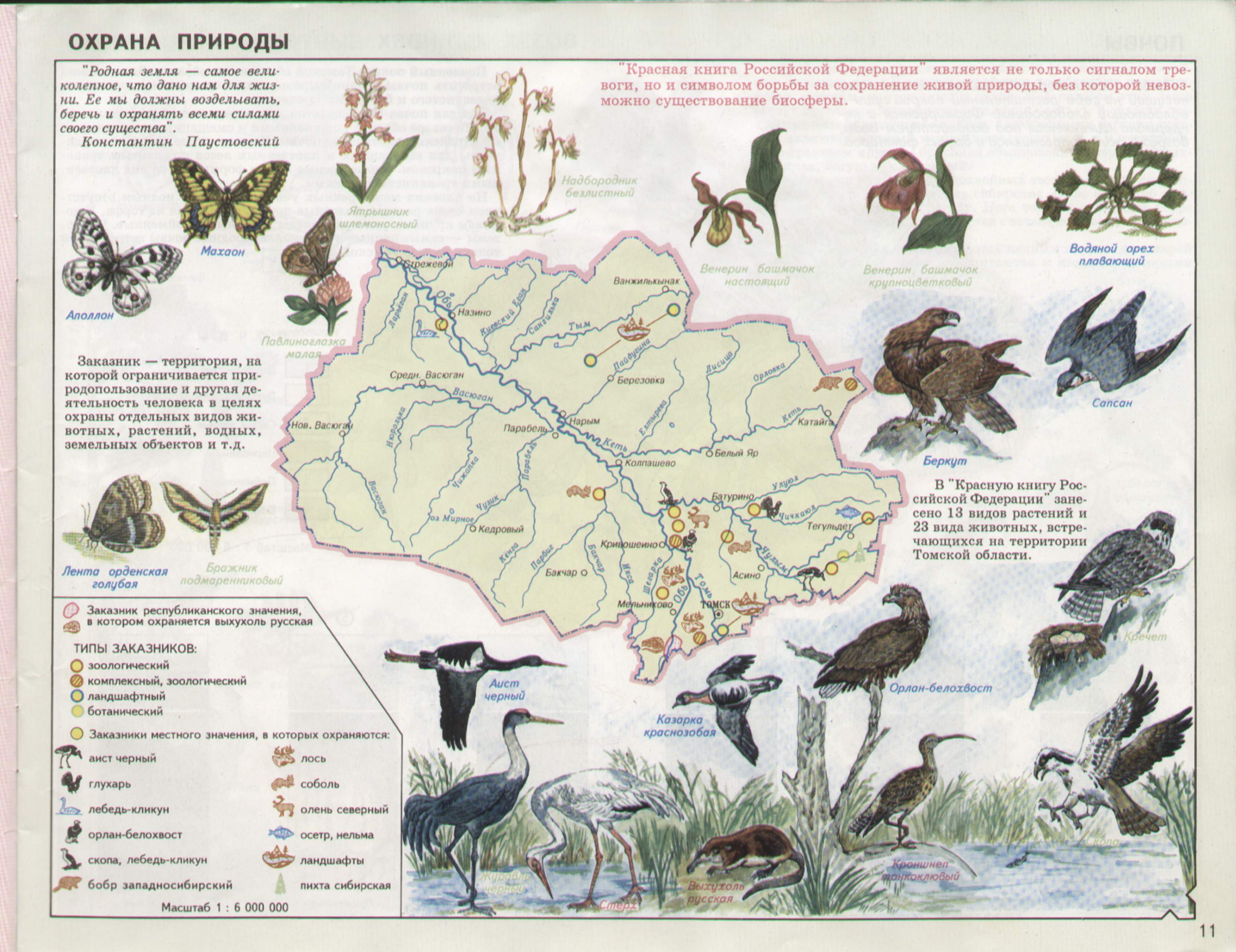 Карта животных подмосковья