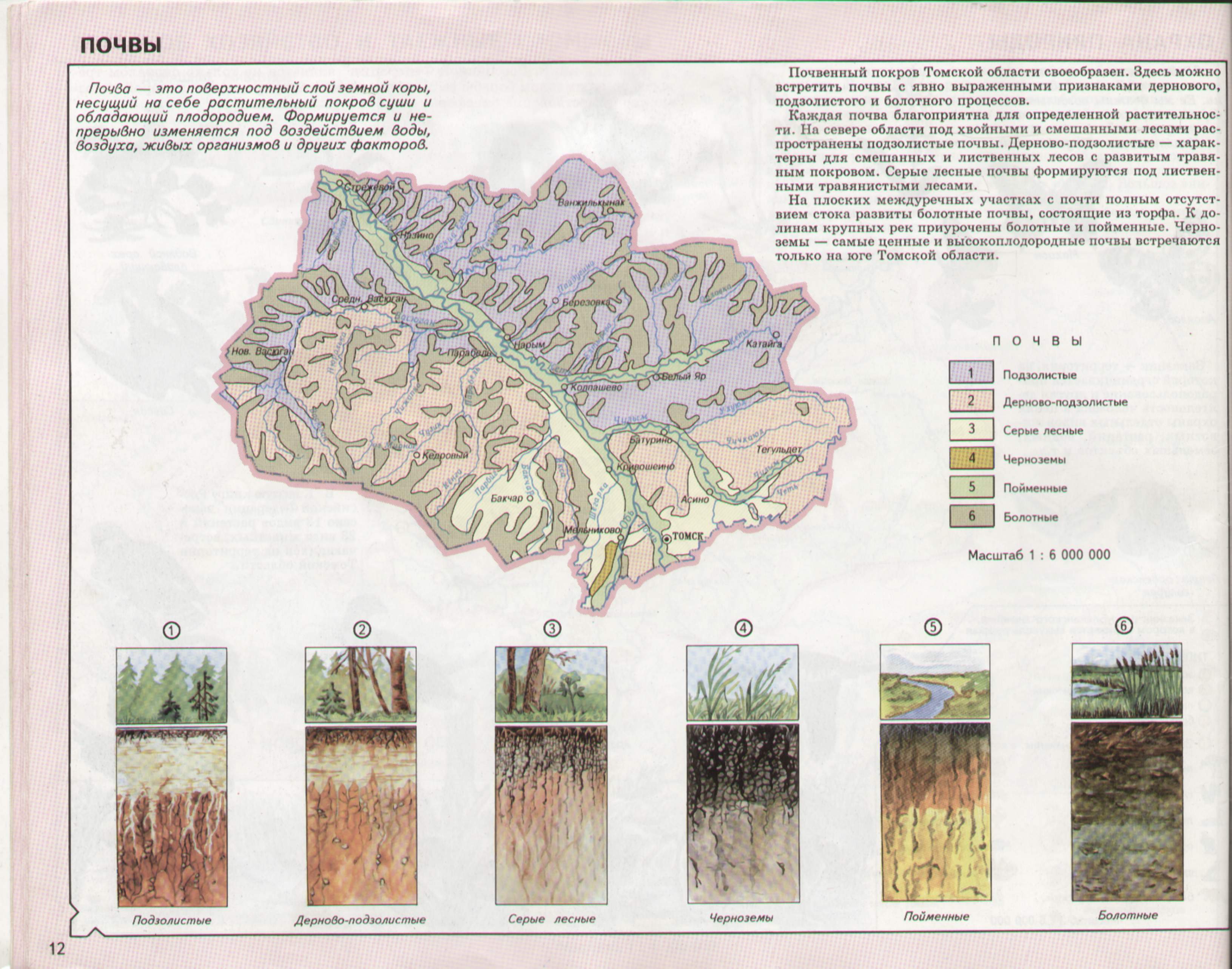 Карта почвы Томска